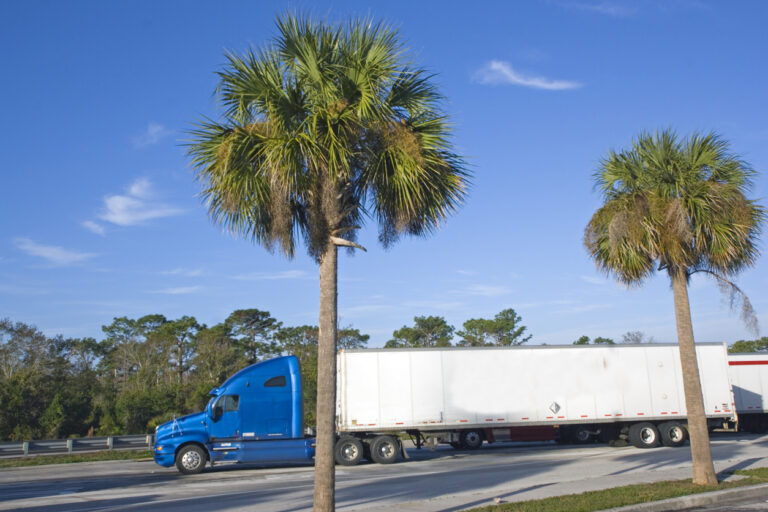 Demand for reefer trucks heats up in Florida amid ICE activity