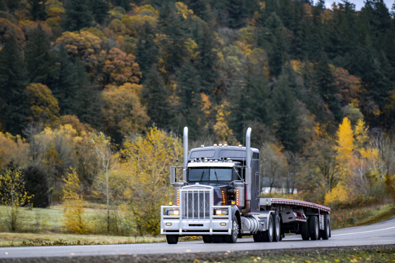 DAT: Load posts fall in latest week erasing previous gains