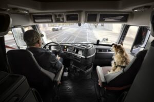 thumbnail Volvo Driver