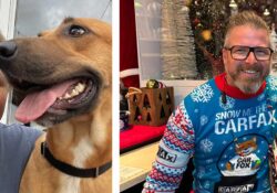 Sunny Roberts Composite web