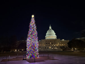 54961767601 3f3903eaf5 c