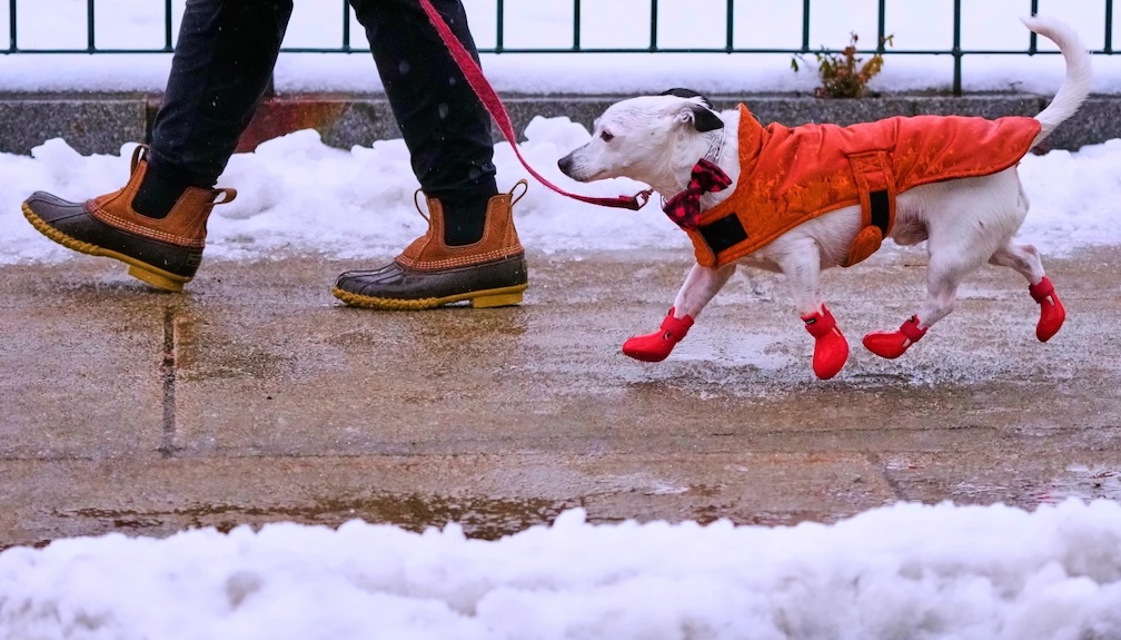 Winter storm packing snow and strong winds to descend on Great Lakes ...