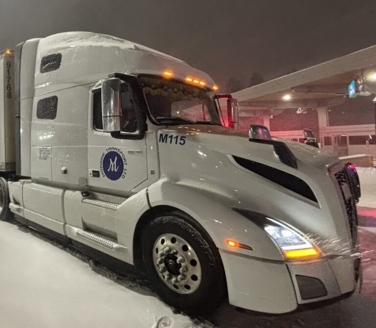 Michigan cops discover stolen semi truck during traffic stop
