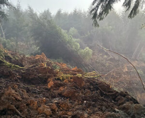 54980102163 f596e0e534 c