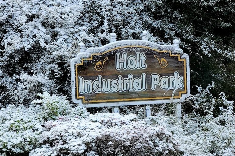 Small part of Sunshine State becomes Snowy State as Florida gets snow for 2nd year in a row