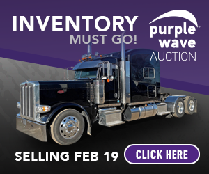 Purple Wave 02/19/2026