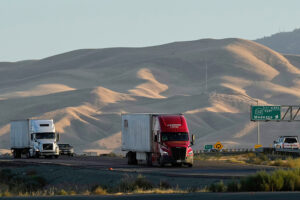 AP26051594339131 web