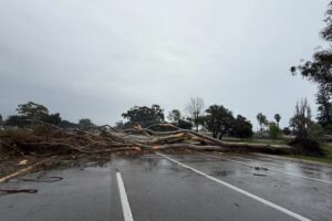 CALIFORNIA WEATHER copy