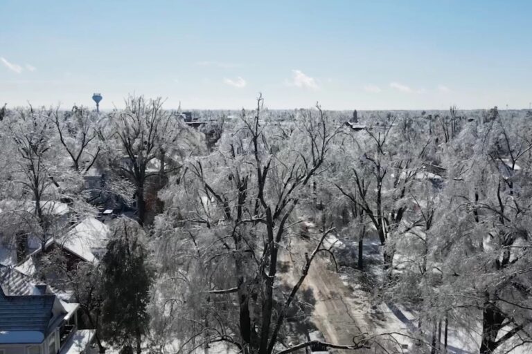 ‘We as a state failed them’: Senators call for improved disaster response after winter storm