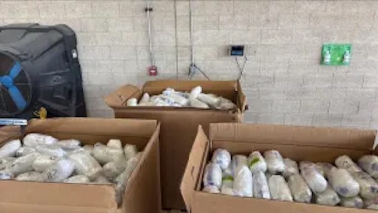 Blackberry smoke screen? CBP intercepts 862 packages of drugs in shipment manifested as blackberries