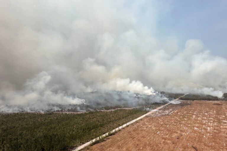 Georgia wildfires that destroyed more than 120 homes continue to threaten residents