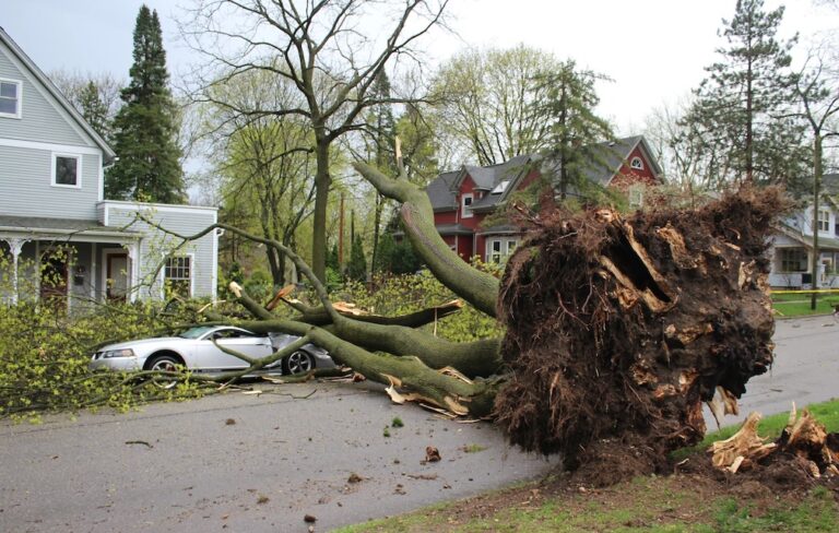 Thunderstorms rip across Michigan damaging 2 ice arenas, other structures