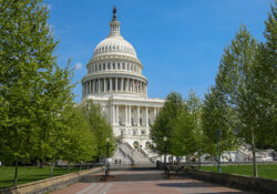 US Capitol iStock 1198110107 web