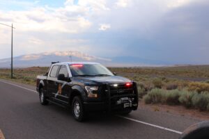 NMSP