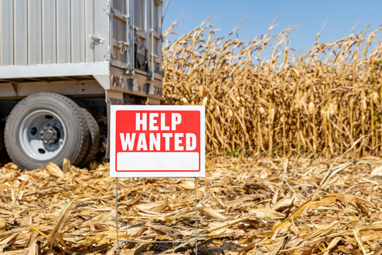 US employers likely added 105,000 jobs in May with labor market stable despite costly Iran war