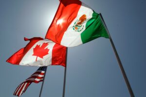 FLAGS copy