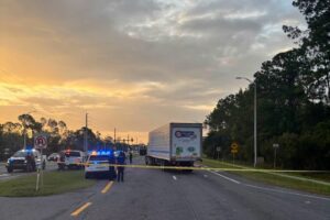 ICE TRUCKER copy