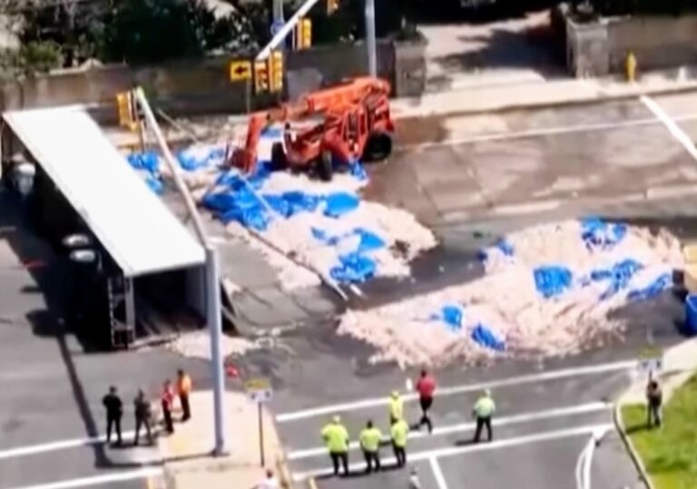 Truckload of squid spills into the street in Rhode Island, creating a smelly mess in the summer heat