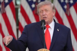 TRUMP ROSE copy
