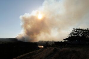 WASH FIRE copy