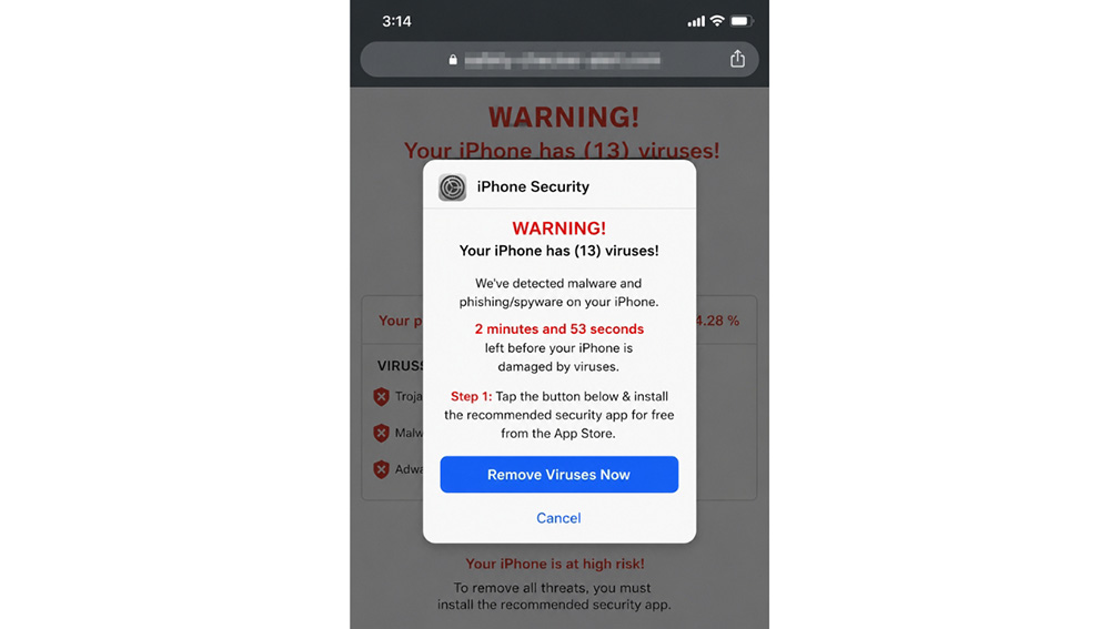 1 Phone virus web