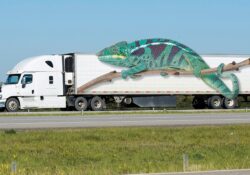 Chameleon Carrier web
