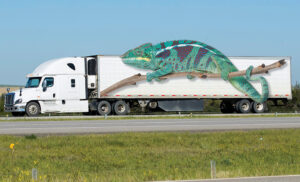 Chameleon Carrier web
