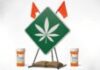 Marijuana Image web