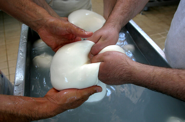 Truckers’ strike halts Italy’s buffalo mozzarella production, costing millions