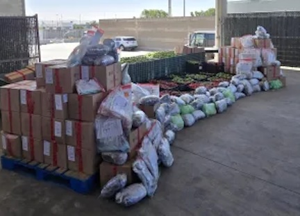 CBP finds nearly 1,600 pounds of meth in tomatillo shipment