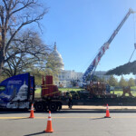 The People's Christmas Tree arrived at the U.S. Capitol Building Nov. 20. (Courtesy: James Edward Mills)