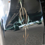 Cliff Abbot/The Trucker