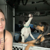 Courtesy: LeAnna Thompson