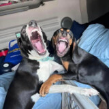 Courtesy: LeAnna Thompson