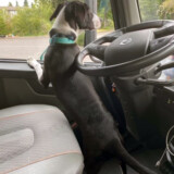 Courtesy: LeAnna Thompson