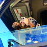 Courtesy: LeAnna Thompson