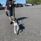 Courtesy: LeAnna Thompson