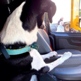 Courtesy: LeAnna Thompson