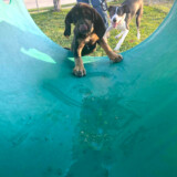 Courtesy: LeAnna Thompson