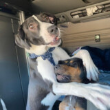 Courtesy: LeAnna Thompson