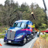 The78-foot red spruce, dubbed “Ruby,” is loaded onto an 80-foot flatbed trailer to be transported to Washington, D.C., by a specially decorated Kenworth T680 tractor. (Courtesy: Truck PR)