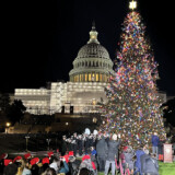 The 2022 Capitol Christmas Tree was delivered to the west lawn of the U.S. Capitol Nov. 18; the lighting ceremony was held Nov. 29. (Photo courtesy of Paul Feenstra)