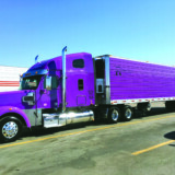 Courtesy: David and Dana Walden