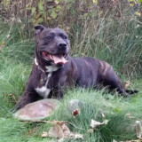 Courtesy: Bryan and Nikki Larrea