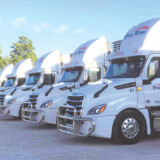 Gray Ridge Egg Farms employs 62 drivers and has 42 trucks and 102 trailers. The company as a whole includes 183 drivers, 110 trucks, and 243 trailers. Gray Ridge 2