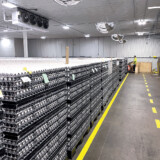 Gray Ridge supplies all but the northern region of Ontario with fresh, local eggs. Gray Ridge 3