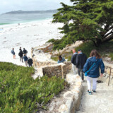 Courtesy: Truckload Carriers Association