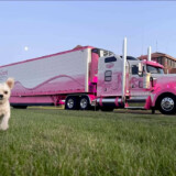 Did someone say "treat"?? (Courtesy: Eva Knelsen)