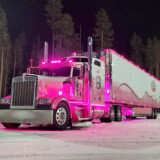 Nighttime is the perfect time for lights in pink! (Courtesy: Eva Knelsen)