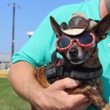 “Peanut” and Ivan F. of Orlando, Florida (Linda Garner-Bunch/The Trucker)
